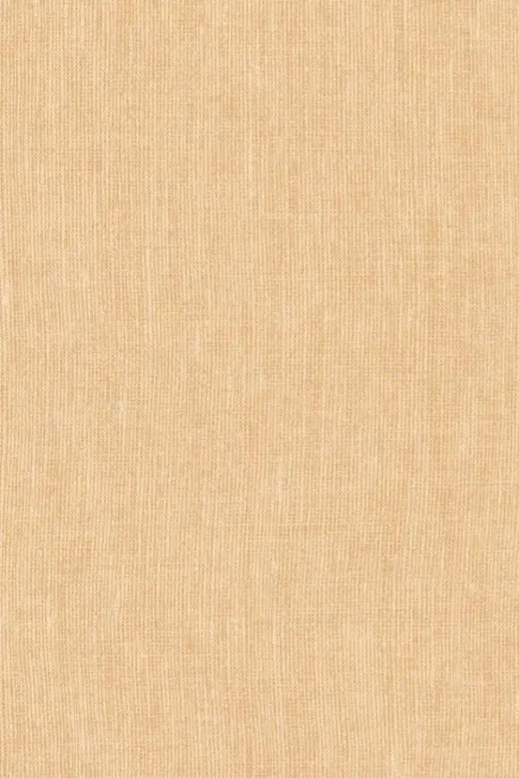 78233
