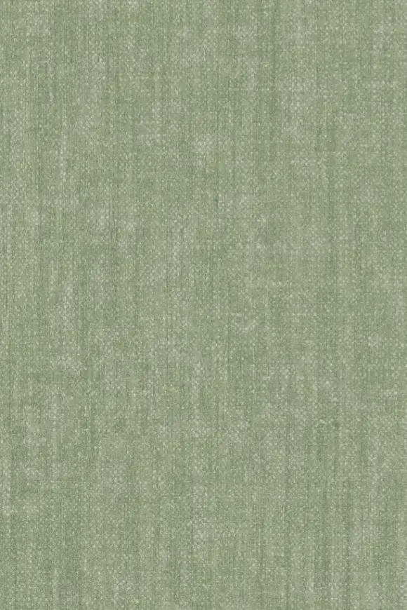 78262
